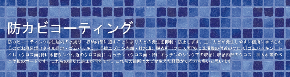 �h�J�r�R�[�e�B���O TOP