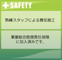 SAFETY