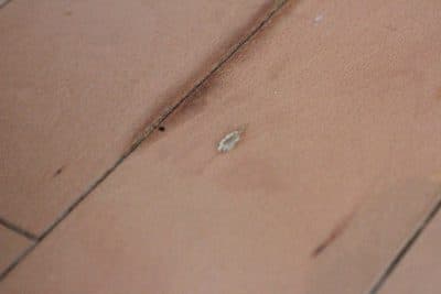 傷ついたフローリング シミ・黒ずみ