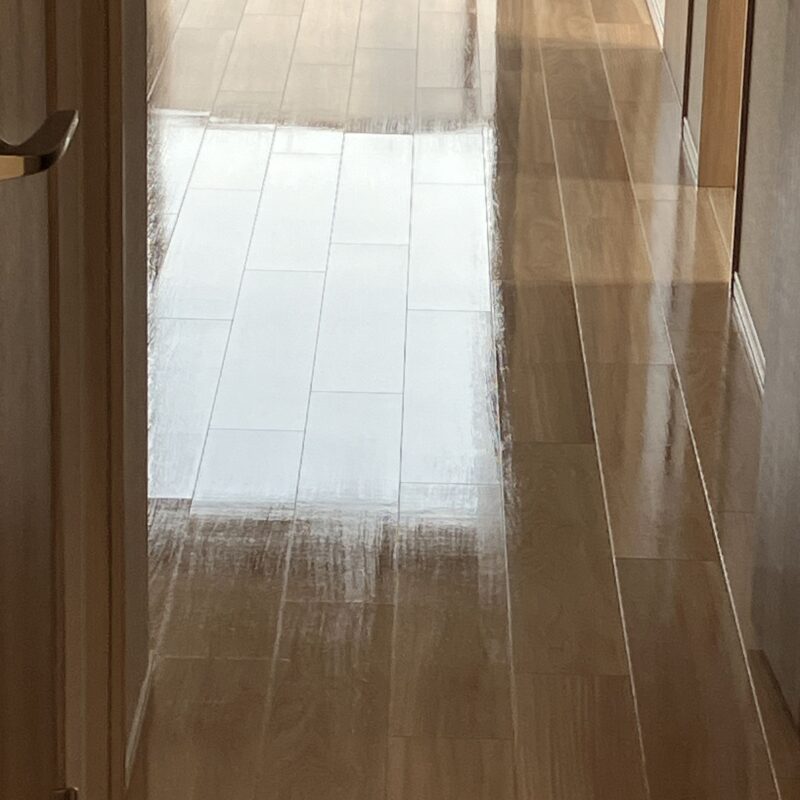 永大産業 レプリアダイレクト45S DXWR-SN570 ※シートフロア プレミアムコート(ガラスコーティング)施工後