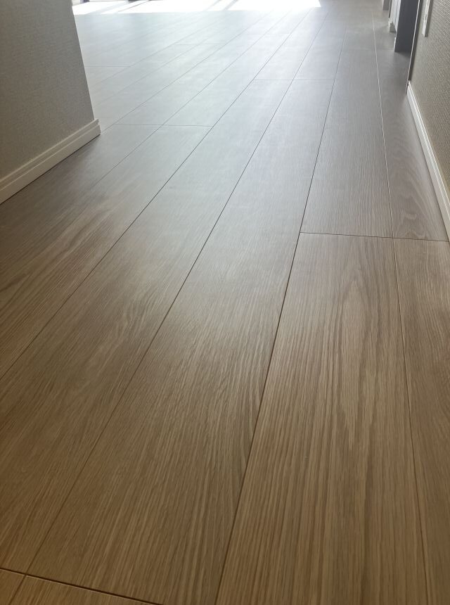 IMG 8908 compressed rotated