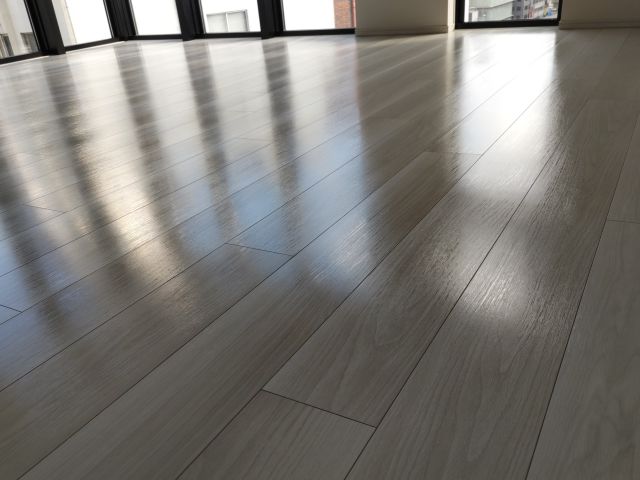 e04c19def4d5ef9566a1206ddd9d5de8